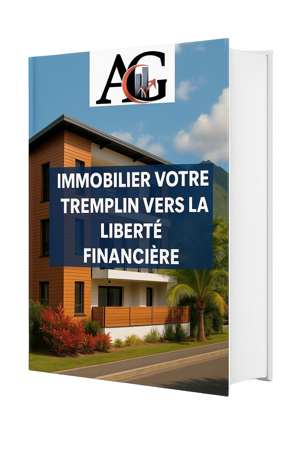 Investissement immobilier Réunion